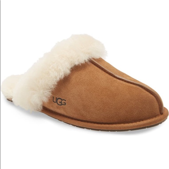 Ugg slippers